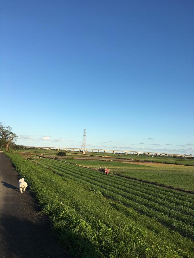 Yilan 蘭陽河畔居二館 아파트 외부 사진